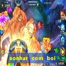 sonhar com boi branco jogo do bicho